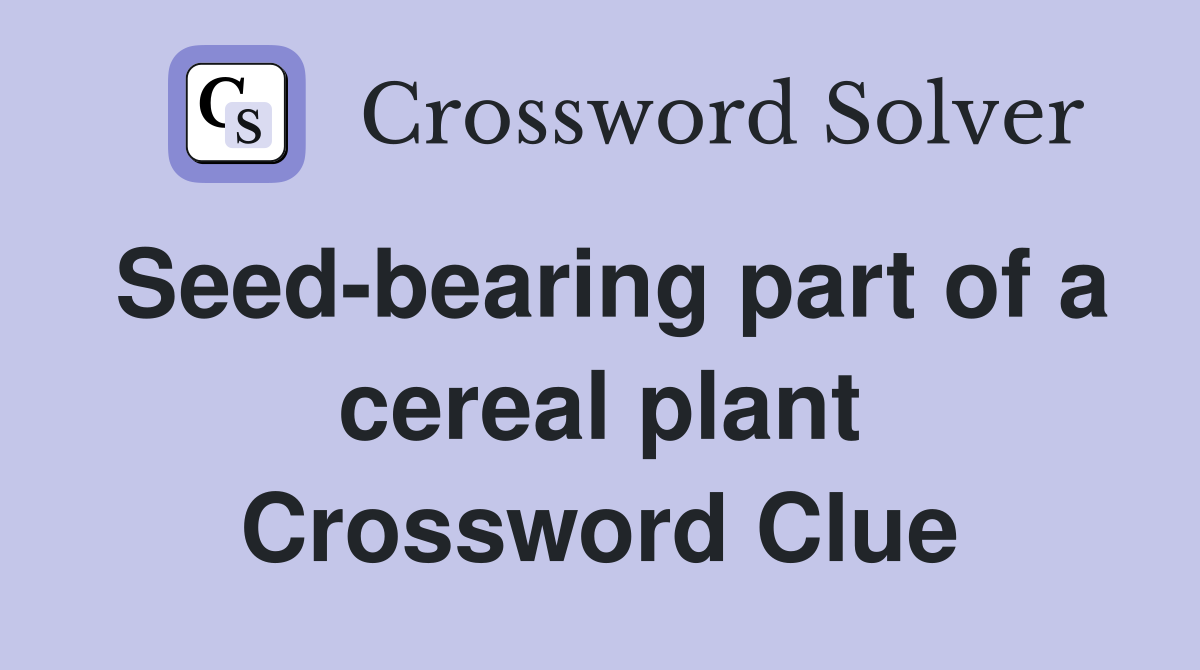 Seed bearing part of a cereal plant Crossword Clue Answers